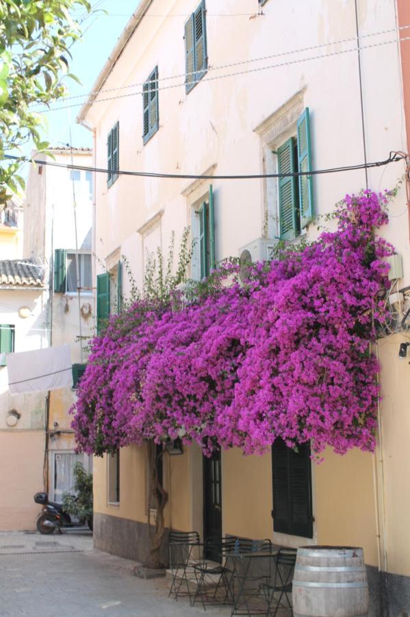 ホテル Theama Corfu マラティアス エクステリア 写真